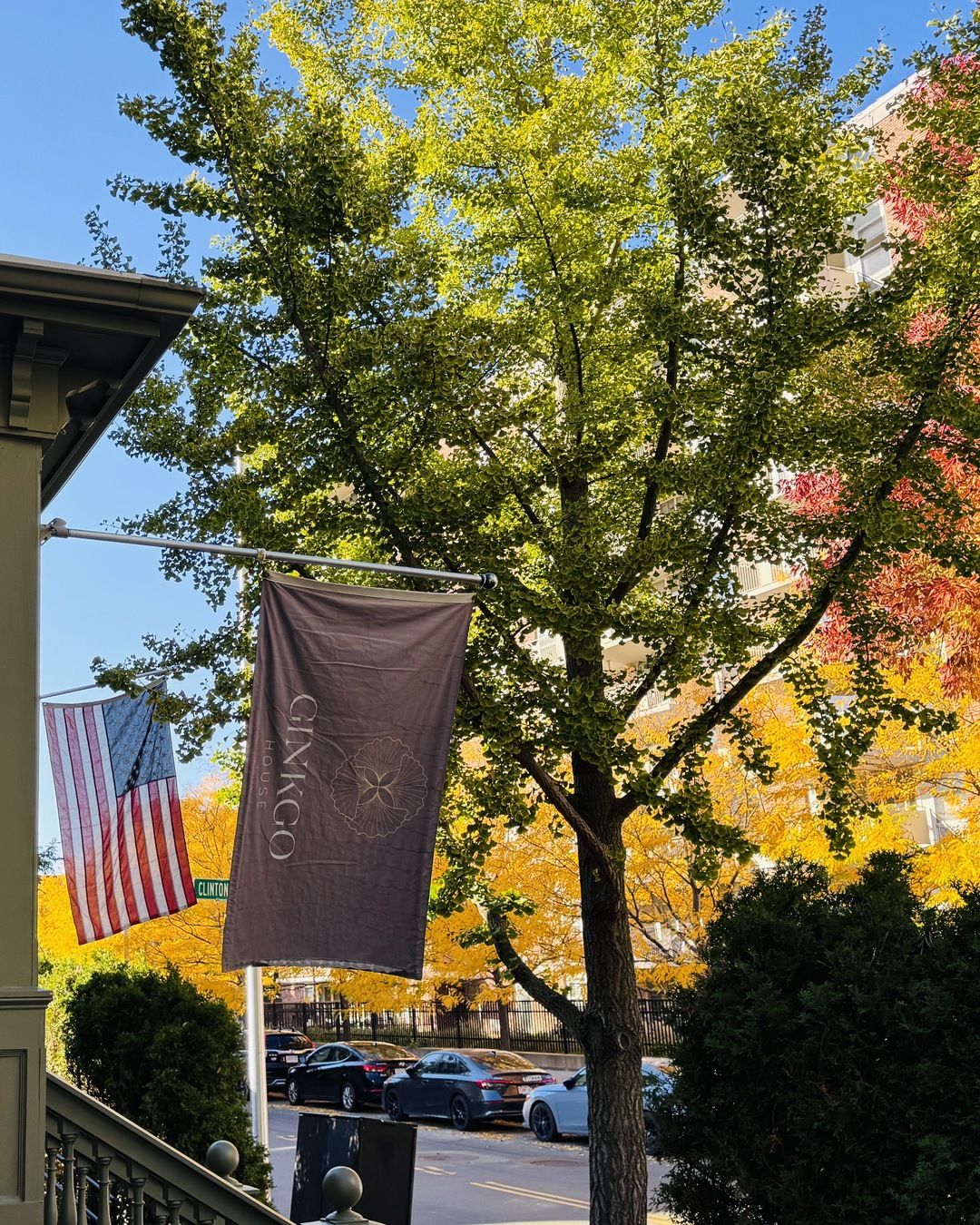 A street view with a tree, a flag, and a building.
