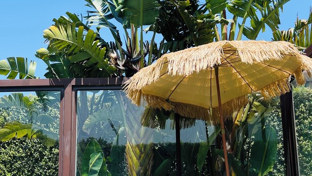 A glass-enclosed outdoor seating area with a thatched umbrella, surrounded by lush tropical plants. - Atlantic House - Beachfront Luxury House (Vila Nova de Gaia)