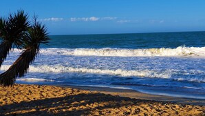 Una playa con olas, una palmera y cielo despejado.