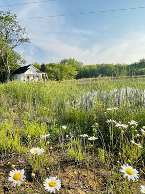 Property grounds - Looking for a perfect  escape from the city ! (Centerview)