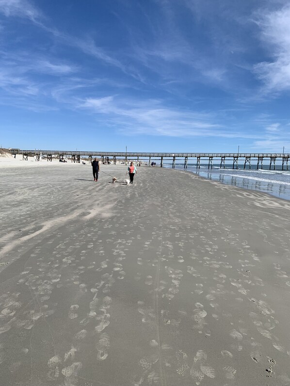 Beach - Home near beach and ICW (Sunset Beach)