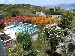Ein Pool mit türkisblauem Deck, umgeben von üppiger Vegetation und leuchtenden Blumen.