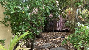 A garden pathway with stepping stones, surrounded by various plants and trees. - 🌴Tropical Cottage, In The Lovely Palm Beach Historic District LOCATION!  (West Palm Beach)