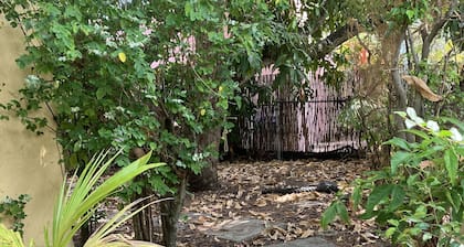 🌴Tropical Cottage, In The Lovely Palm Beach Historic District LOCATION!