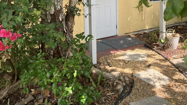 A covered outdoor area with a white door, a tree, and a yellow wall. - 🌴Tropical Cottage, In The Lovely Palm Beach Historic District LOCATION!  (West Palm Beach)