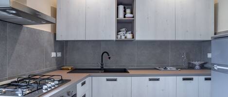 Fridge, oven, stovetop, electric kettle