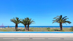 Ein Strand mit Palmen und einem klaren, blauen Himmel.