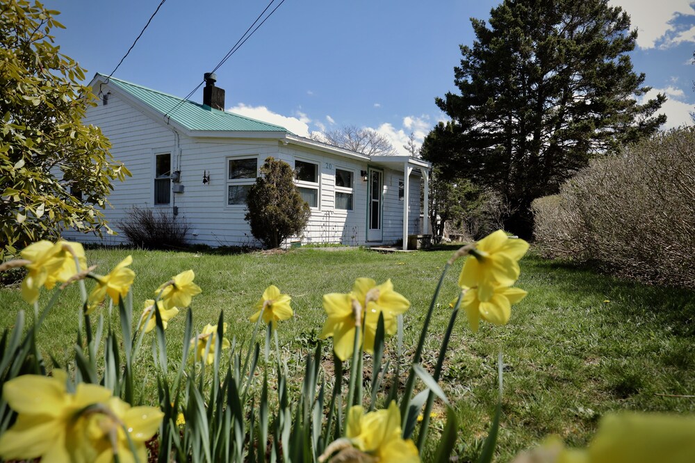 Hill House is a Seaside Cottage, 25 min From Downtown Halifax