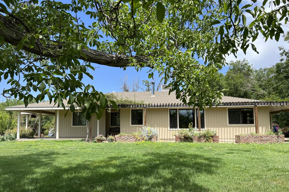 Quiet Farm in a Beautiful Walnut Orchard