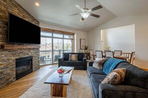 TV, fireplace, computer monitors