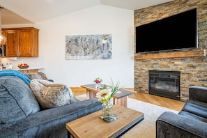 TV, fireplace, computer monitors
