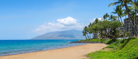海滩