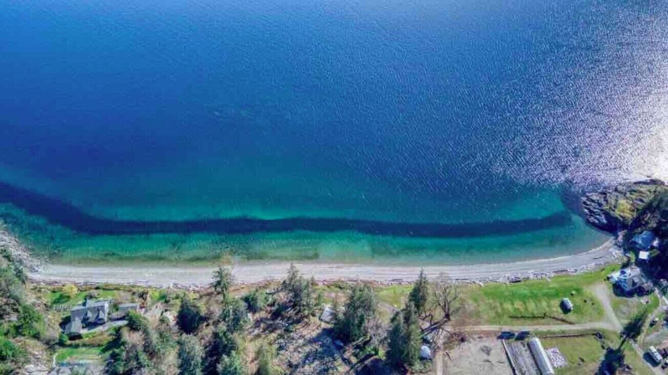 Savary Island Escape