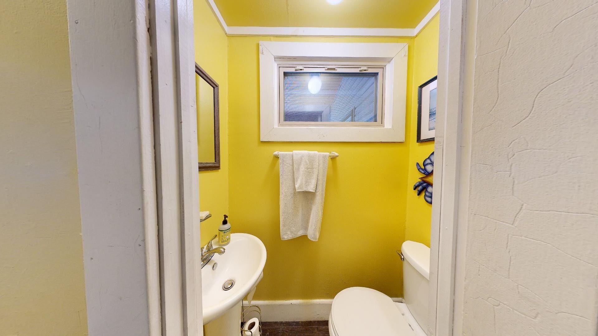 Located on the border of New River Gorge National Park and Hawks Nest State Park