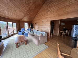 Smart TV, fireplace, DVD player, books