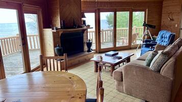 Smart TV, chimenea, reproductor de DVD, libros