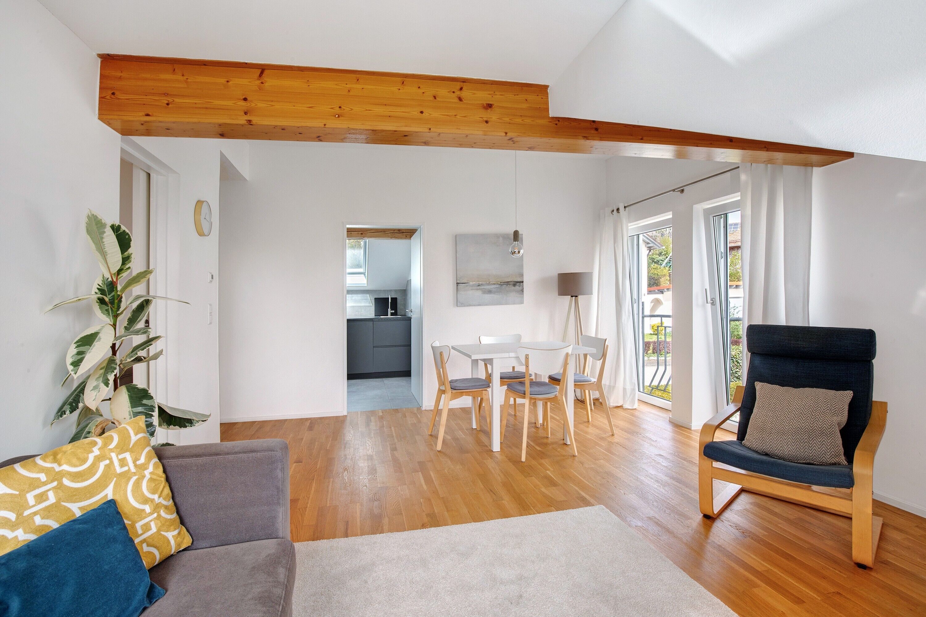 TV, streaming services