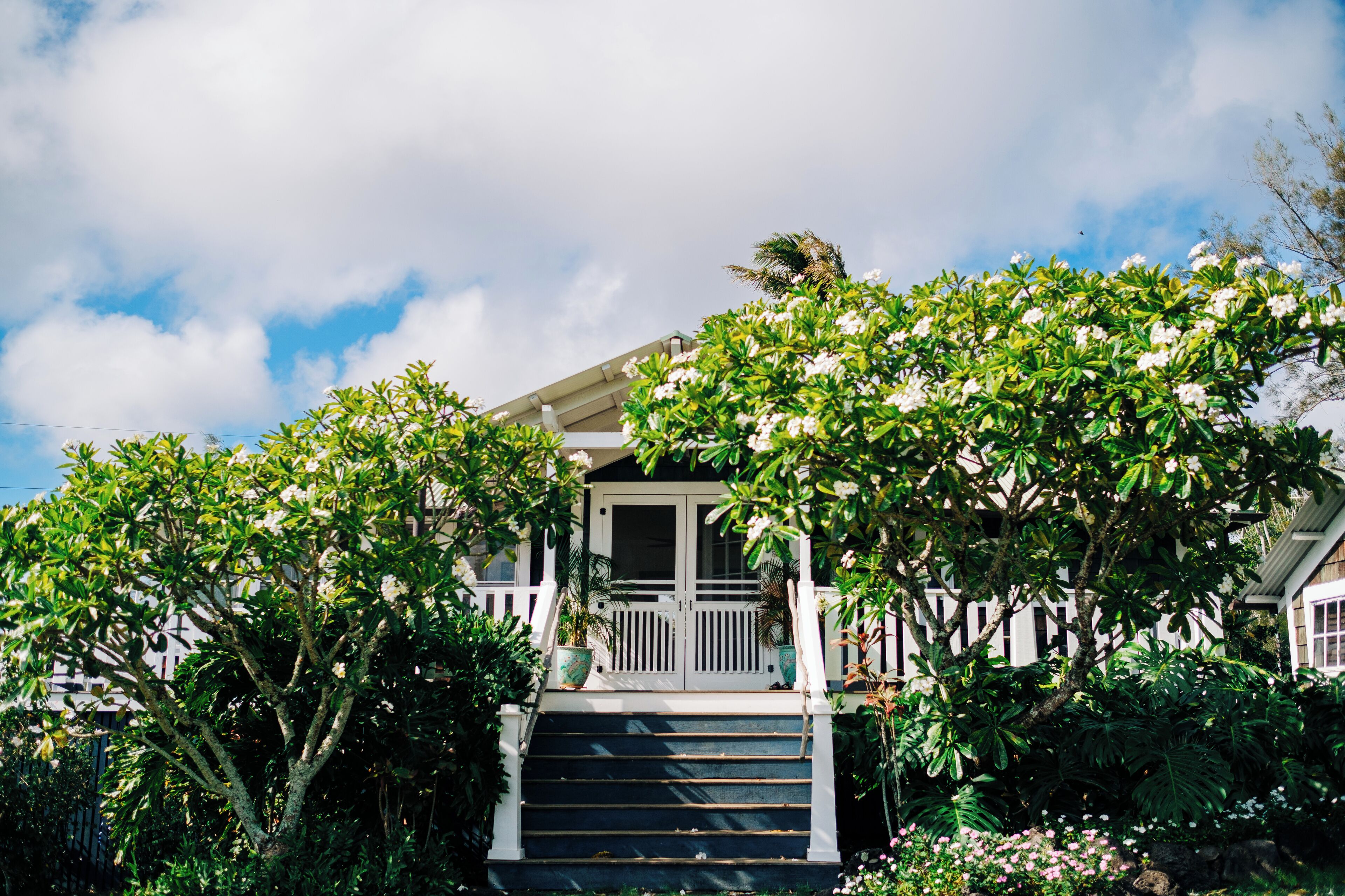 Casa clásica | Terraza o patio