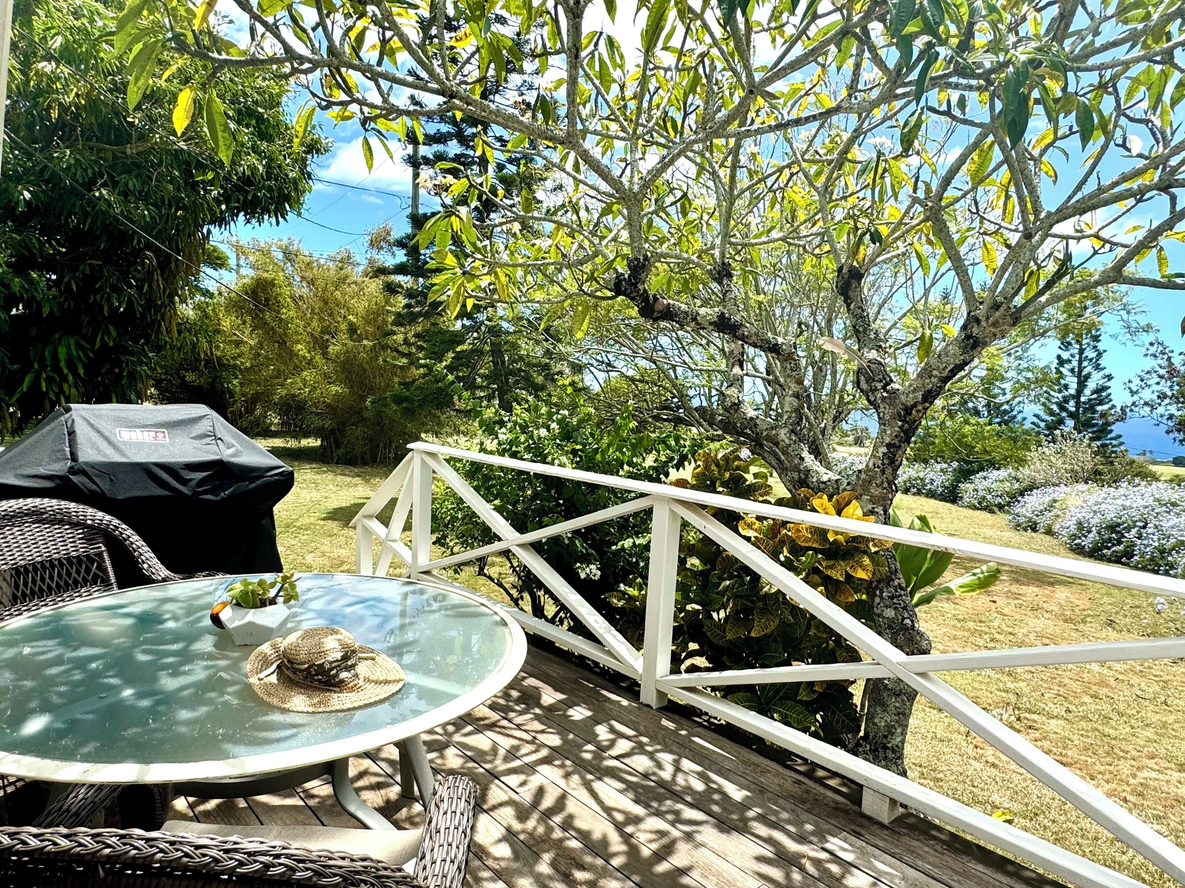 Suite estudio romántica | Terraza o patio