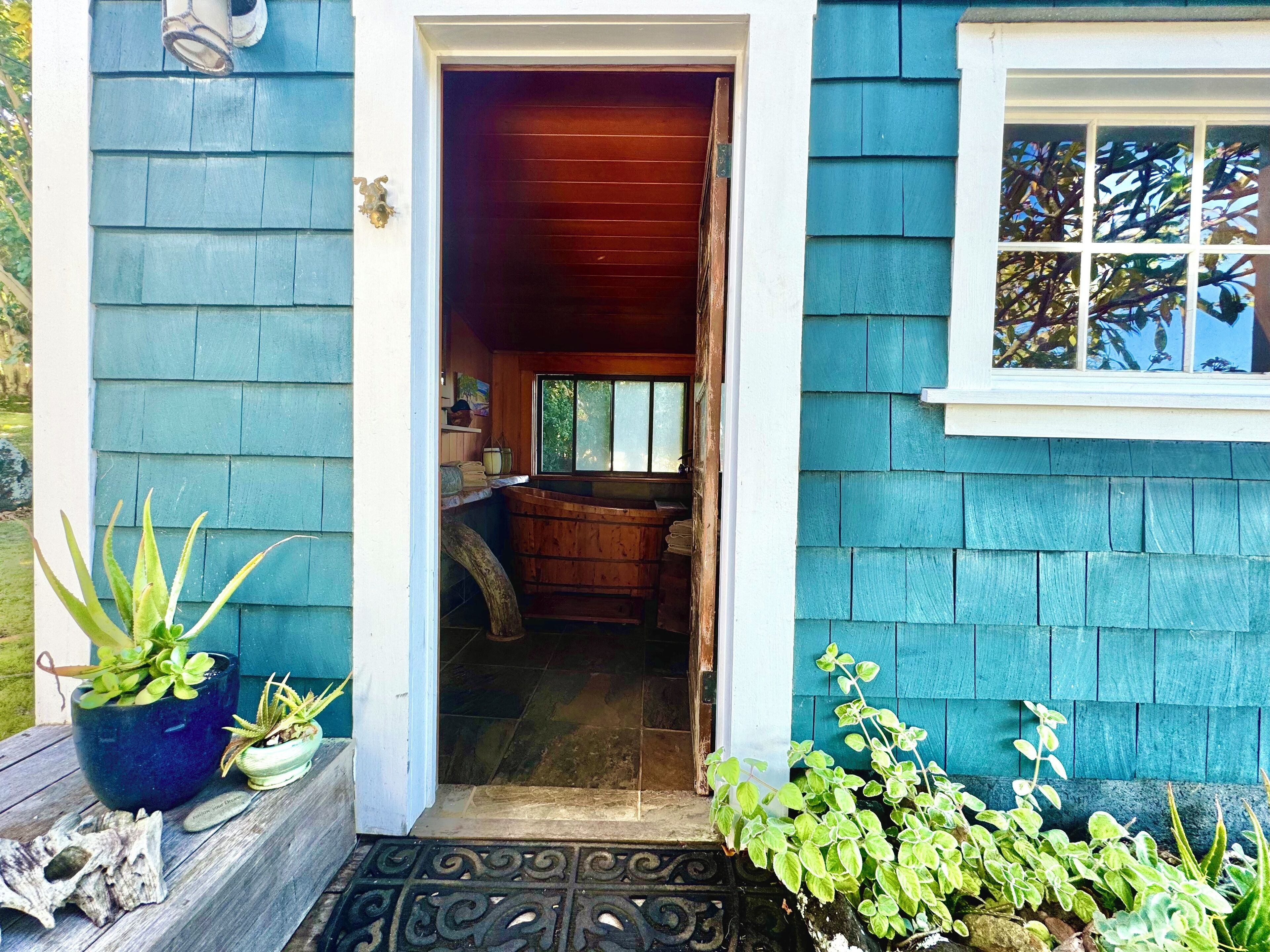 A wooden house with a blue exterior, a visible kitchen area, and a window with a view of trees.