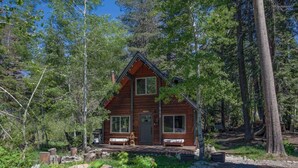 A wooden cabin with a front porch, surrounded by trees.