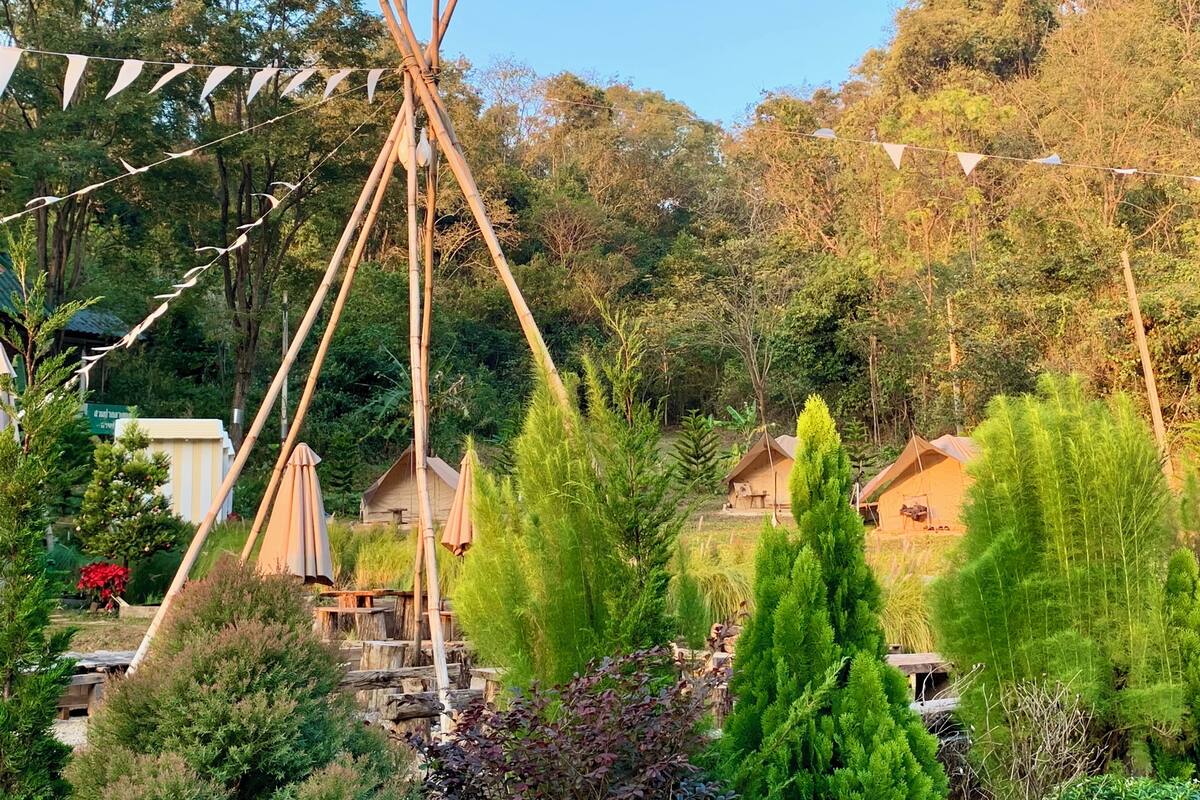 Un cadre extérieur rustique, agrémenté d’une structure en bois, peut-être un belvédère, entouré d’une végétation luxuriante et d’arbres.