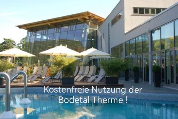 Un sauna, aguas termales/minerales