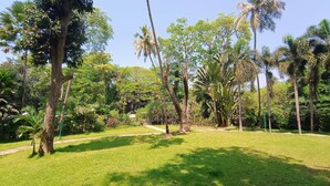 Ein üppiger, grüner Park mit verschiedenen Bäumen und blauem Himmel.