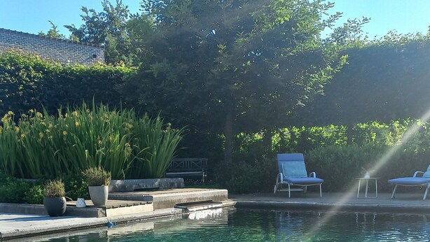 Una piscina cristalina con borde de piedra, rodeada de plantas en macetas y sillas de descanso.