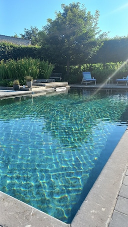 A clear pool with a stone edge, surrounded by potted plants and lounge chairs.