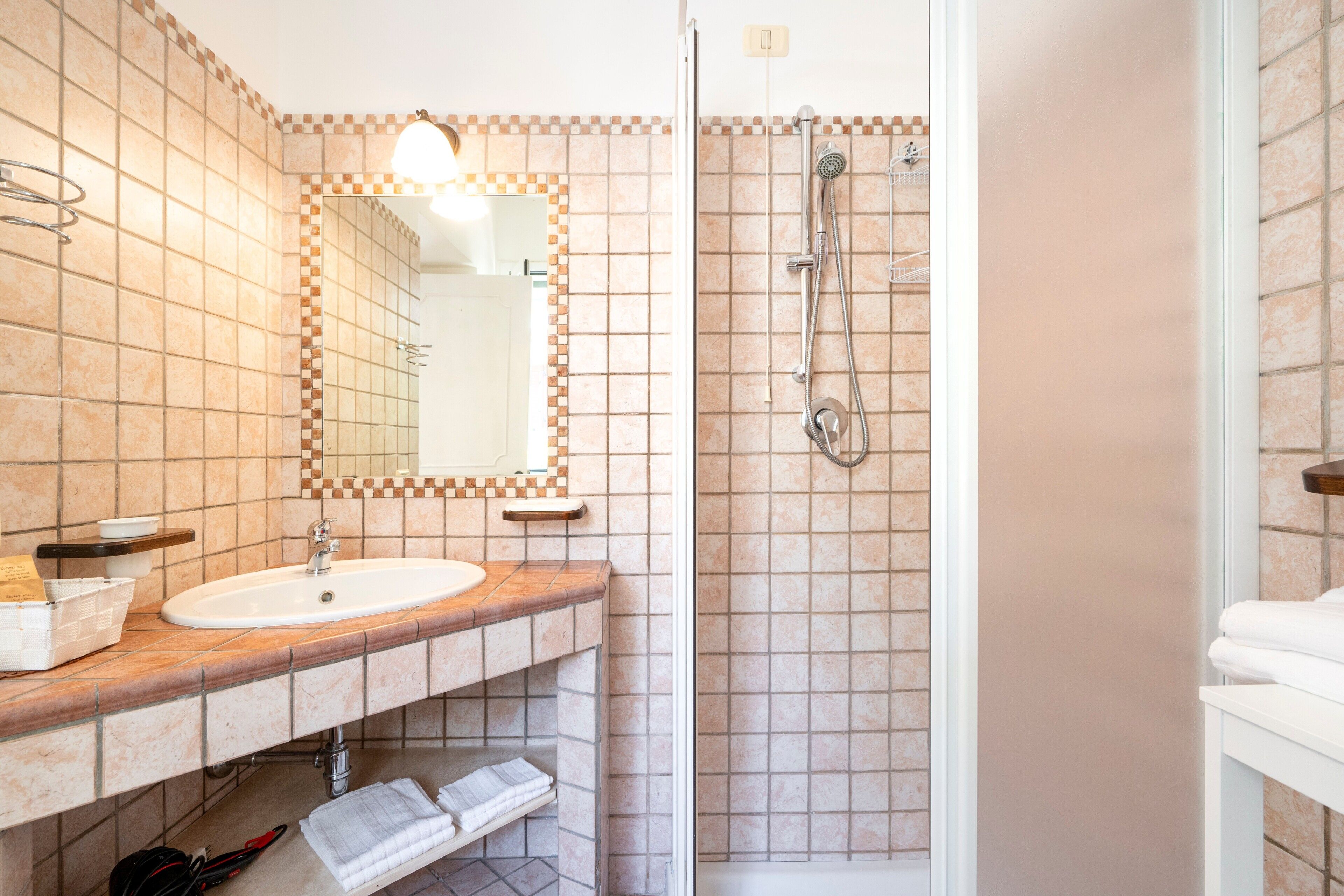Shower, hair dryer, towels