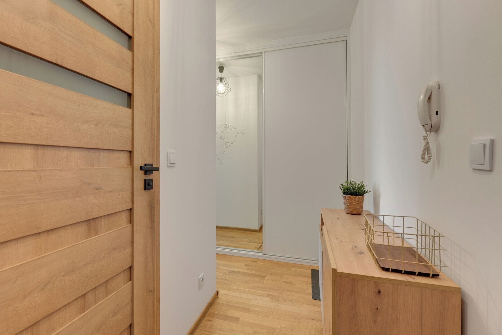 Un corridoio con una porta in legno, un tavolino con una pianta, un telefono e un interruttore a muro.