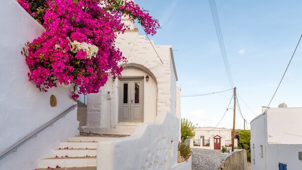 Un bâtiment blanc avec un escalier, une porte rouge et des fleurs roses.