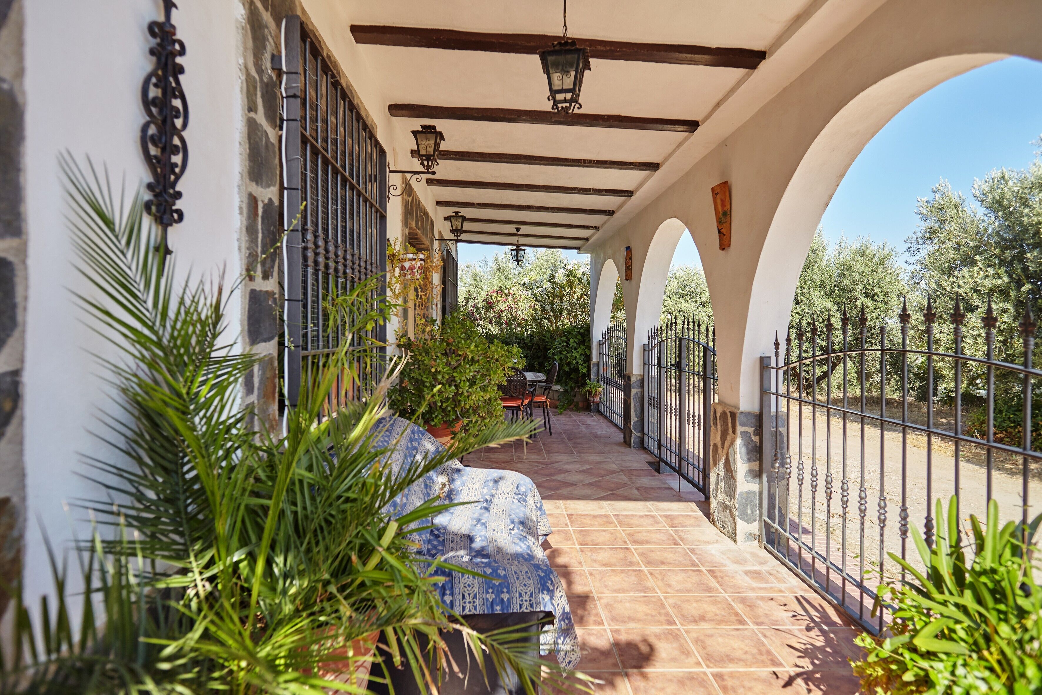 Un patio exterior cubierto con suelo de baldosas, un sofá y plantas en macetas.