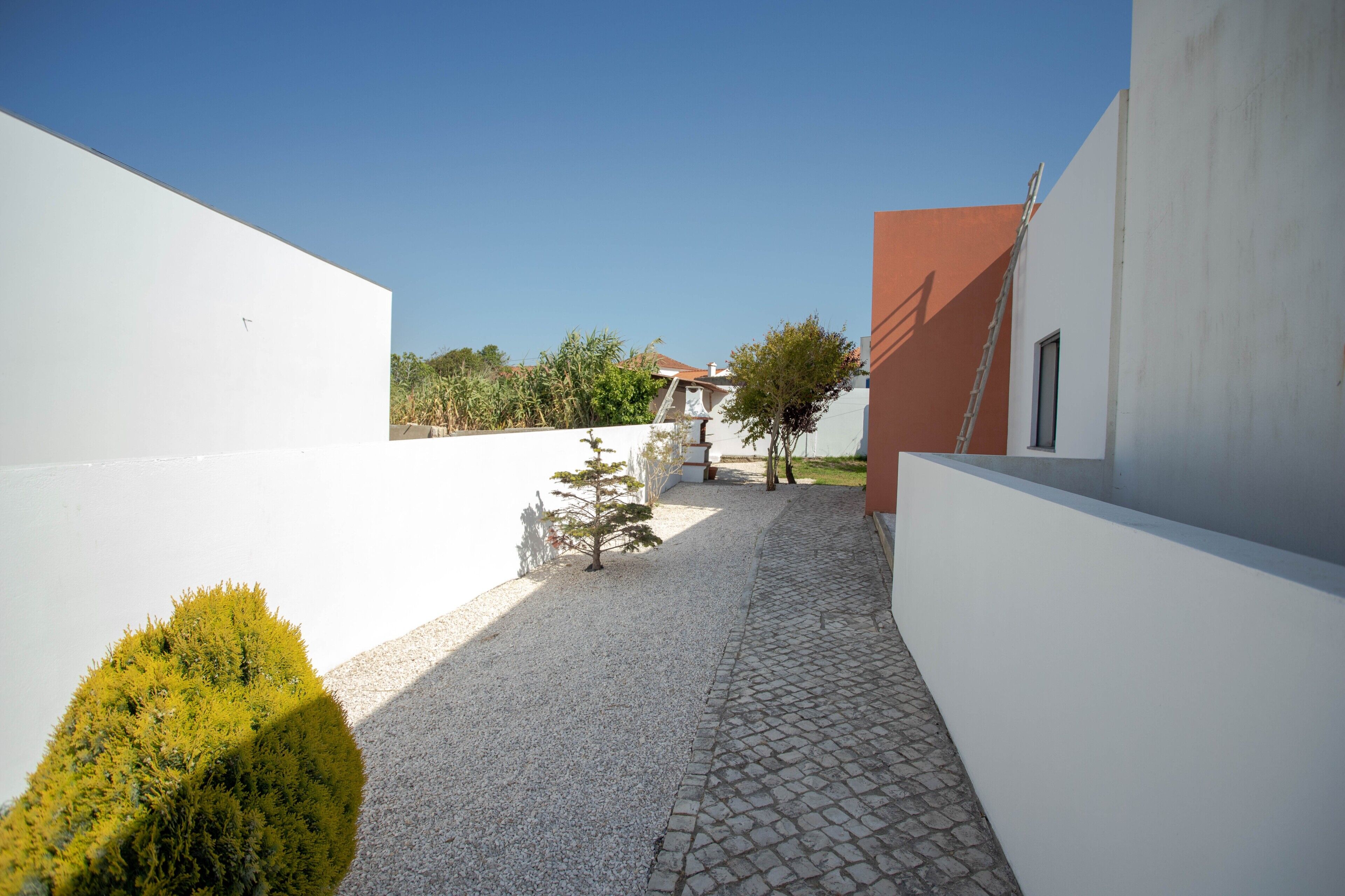 A courtyard with a paved walkway, a small tree, and a ladder leaning against a building.