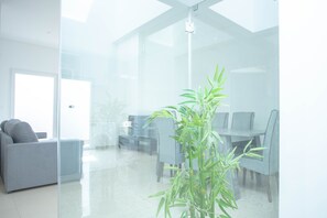 A modern interior with a glass partition, a dining area with chairs, a sofa, and a potted plant.