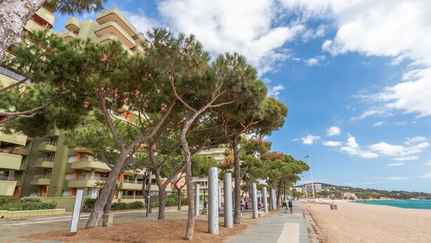 A coastal hotel with a beach view, a pedestrian walkway lined with trees, and a clear sky. - Maria Beach Apartment with Sea View, Wi-Fi, and Air Conditioning (castell-Platja d´Aro)
