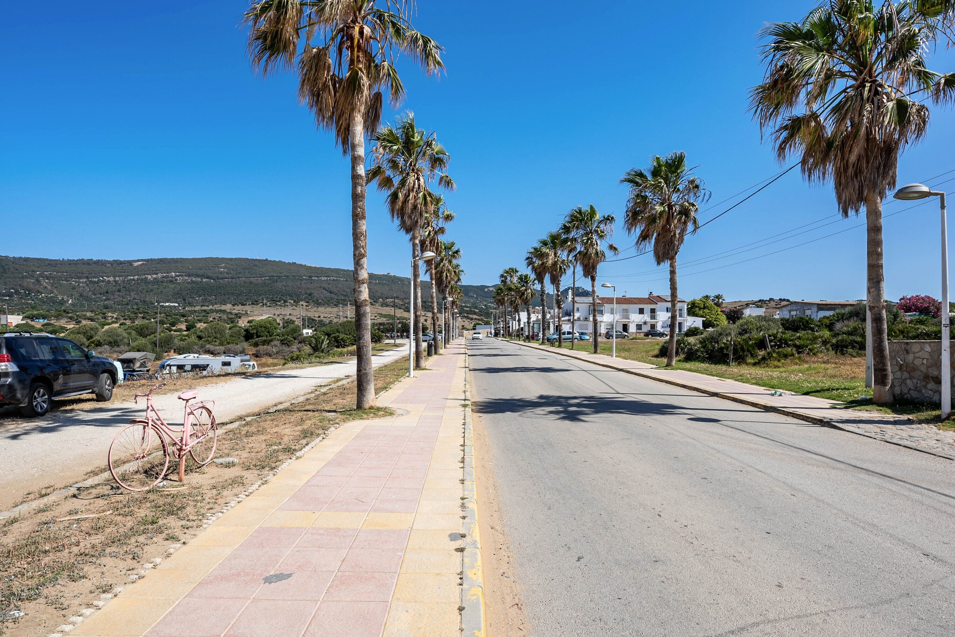 Una calle bordeada de palmeras, con una acera y casas al fondo.