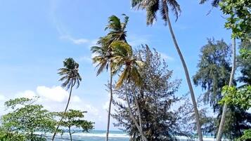 Di pantai, pasir putih, dan 2 bar pantai