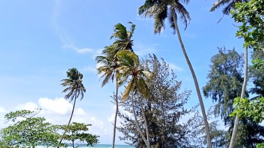 Reef Garden Polhena