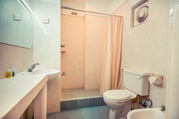 Hair dryer, bidet, towels, soap