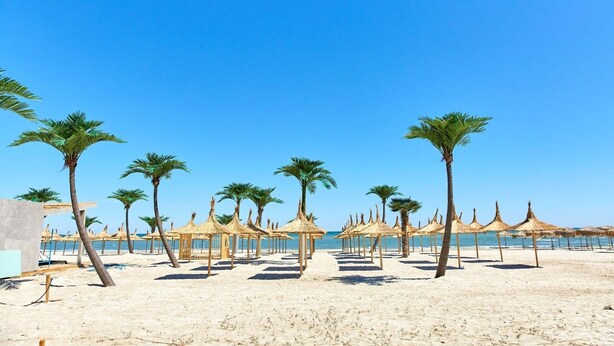 A beach with palm trees and thatched umbrellas. - Alezzi Infinity Resort & Spa (Navodari)