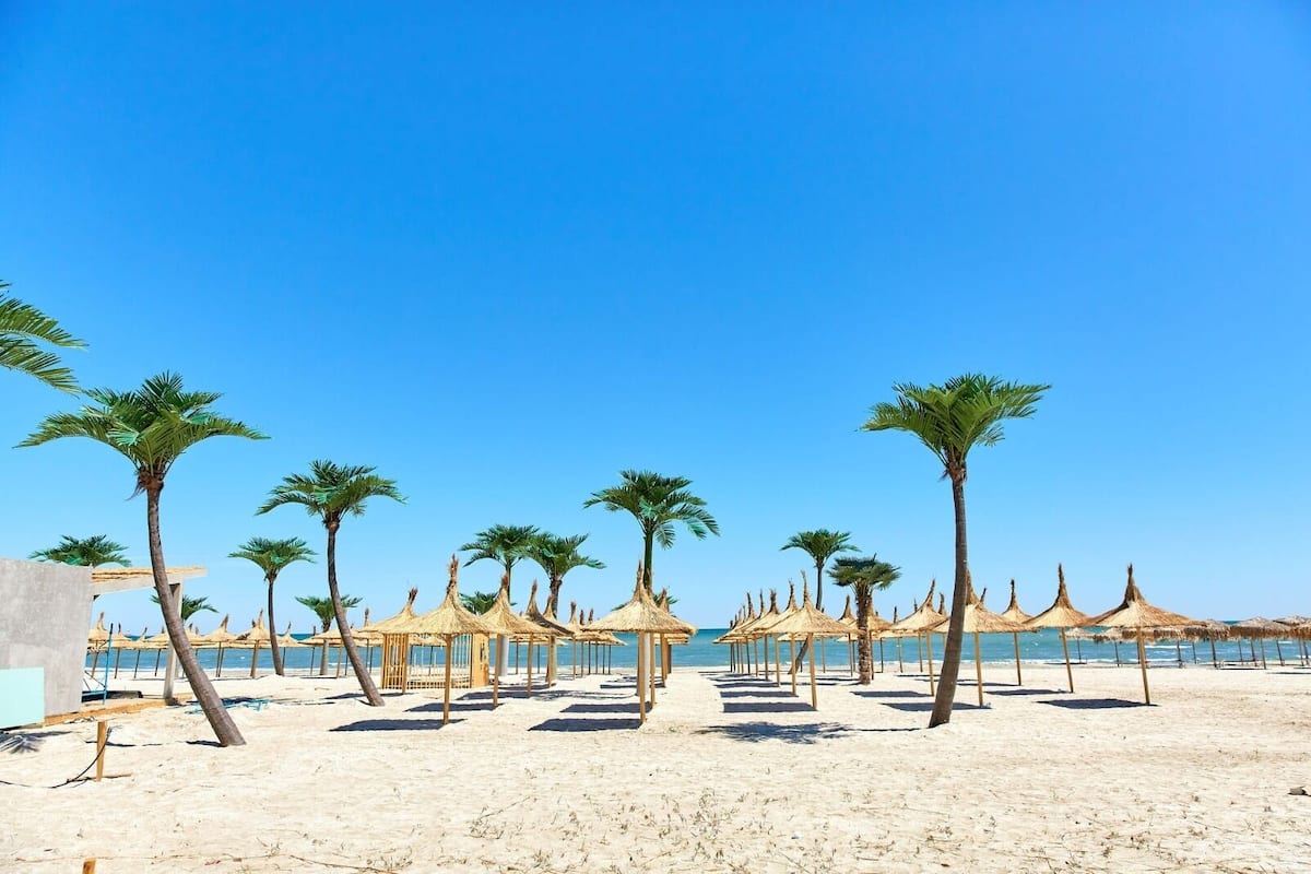 A beach with palm trees and thatched umbrellas.