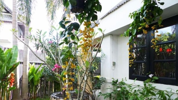 A garden with a stone pathway, various plants, and a white building with black-framed windows.