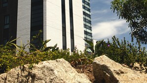 A modern hotel building with a prominent sign reading "Century City Hotel Bridgewater."