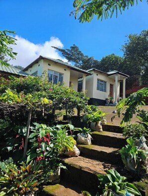 Una casa de dos plantas con jardín delantero.