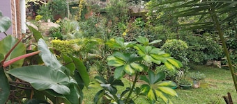 Naisi Spur