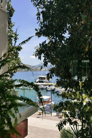 Vue depuis l’hébergement