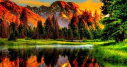 Cozy house in dorchester!