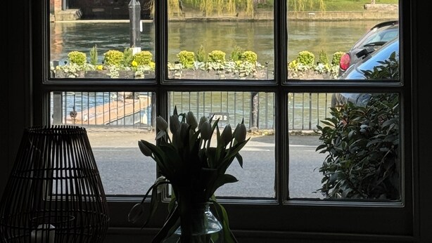 A window with a view of a river, a willow tree, and a building across the water.